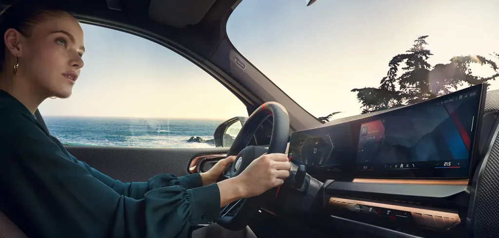 2025 BMW X3 Curved Display