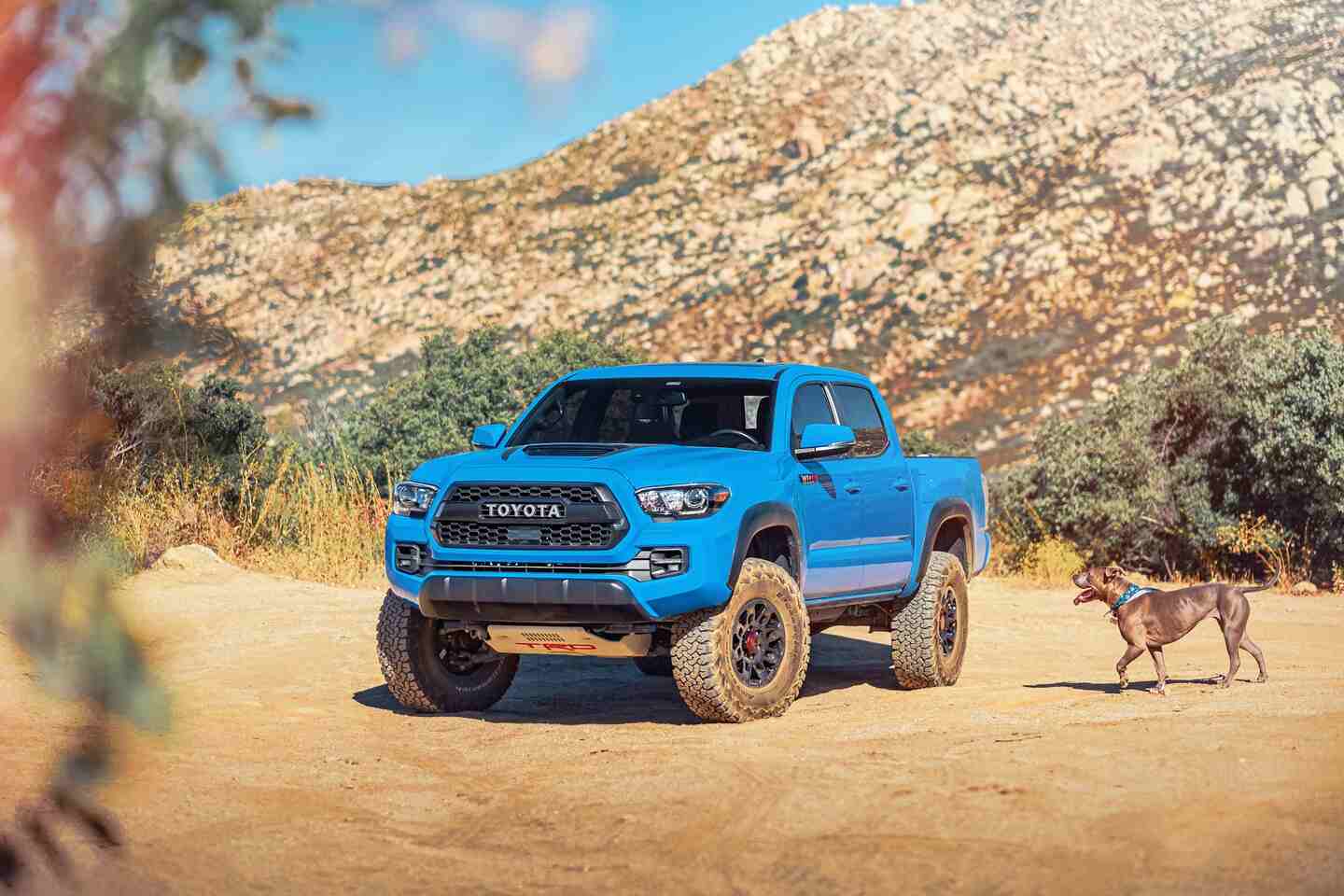 5 Mistakes to Avoid When Buying a Tacoma Top